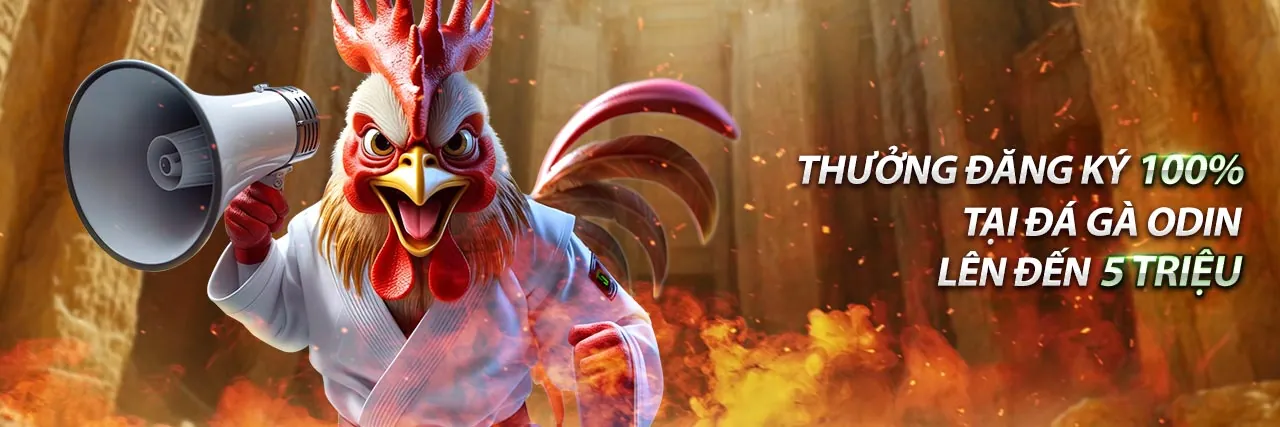 Hình ảnh đá gà trực tuyến tại full88 cổng game chính thức